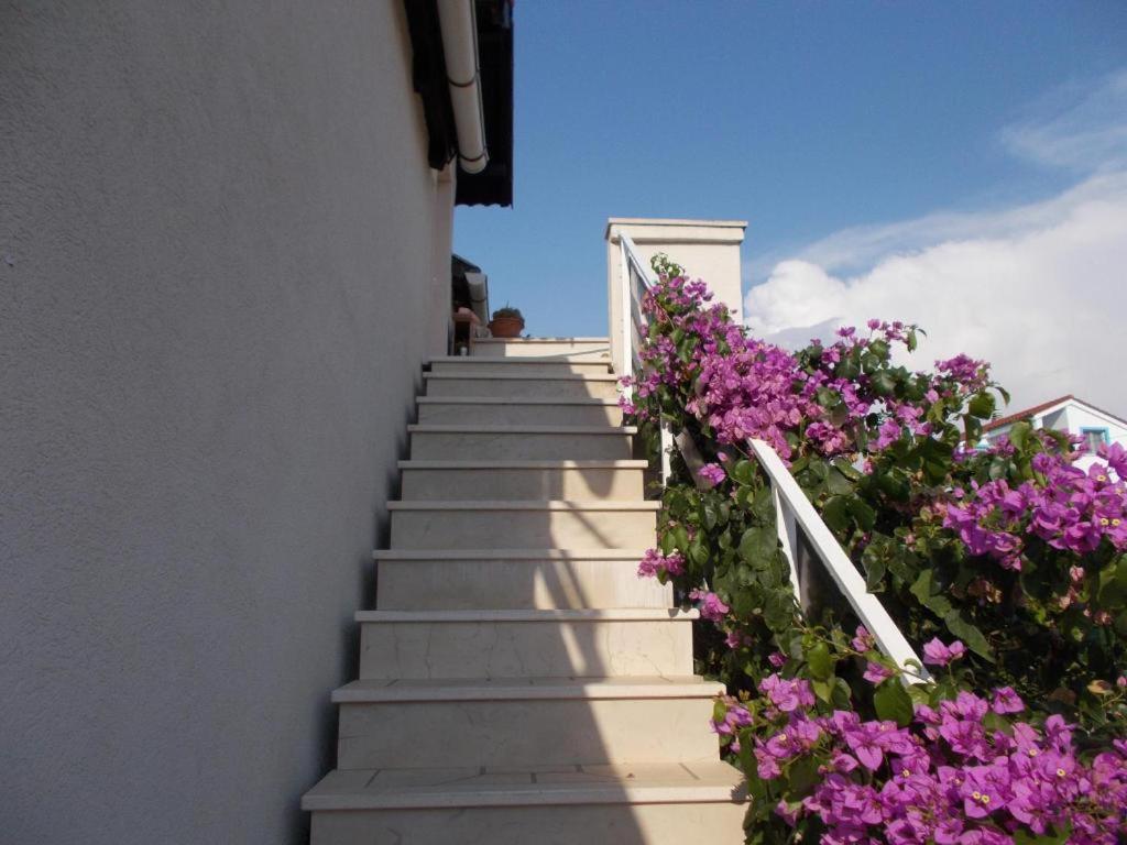 Apartman Milutin Vrsi Εξωτερικό φωτογραφία