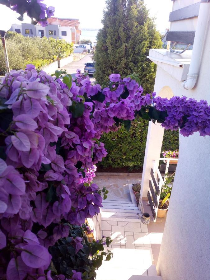 Apartman Milutin Vrsi Εξωτερικό φωτογραφία