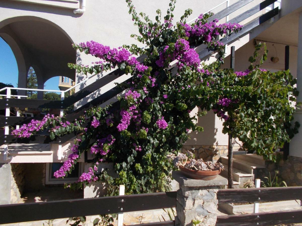 Apartman Milutin Vrsi Εξωτερικό φωτογραφία